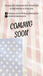 Thin Line Flags - Bookshelf size